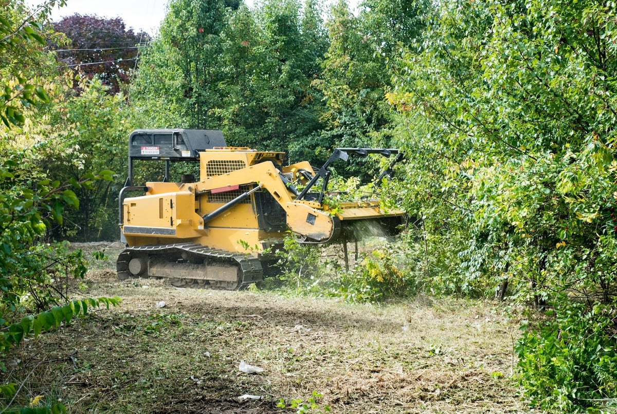 Forestry mulching — grinding brush and overgrowth